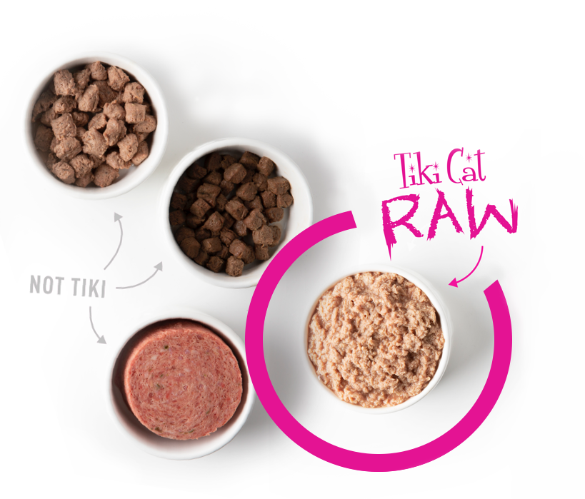 raw cat food