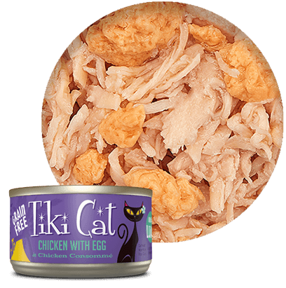 tiki cat chicken and egg