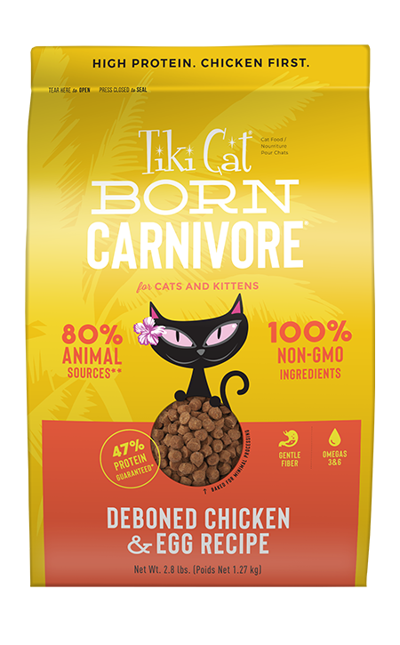 tiki cat born carnivore