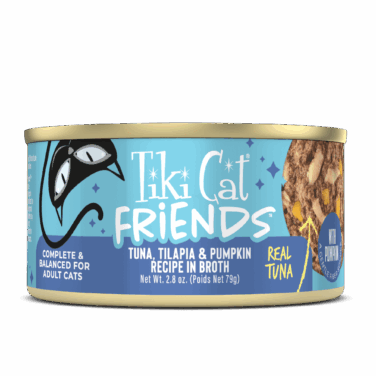 Tuna, Tilapia & Pumpkin Recipe in Broth