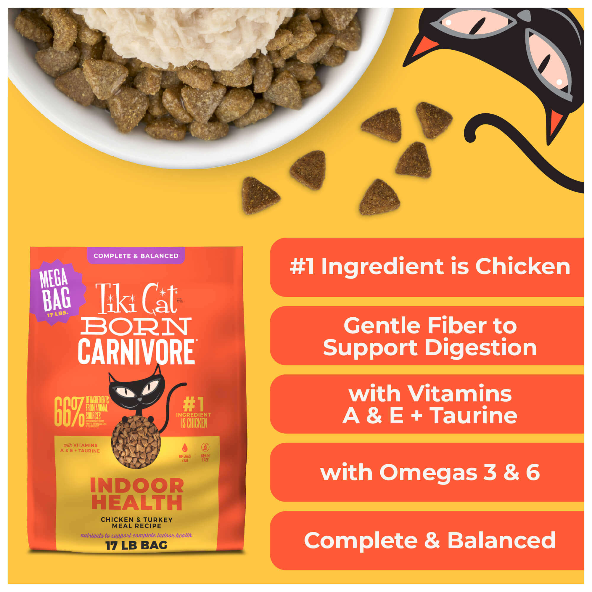 Indoor Health: Chicken & Turkey Meal Recipe - Image 9