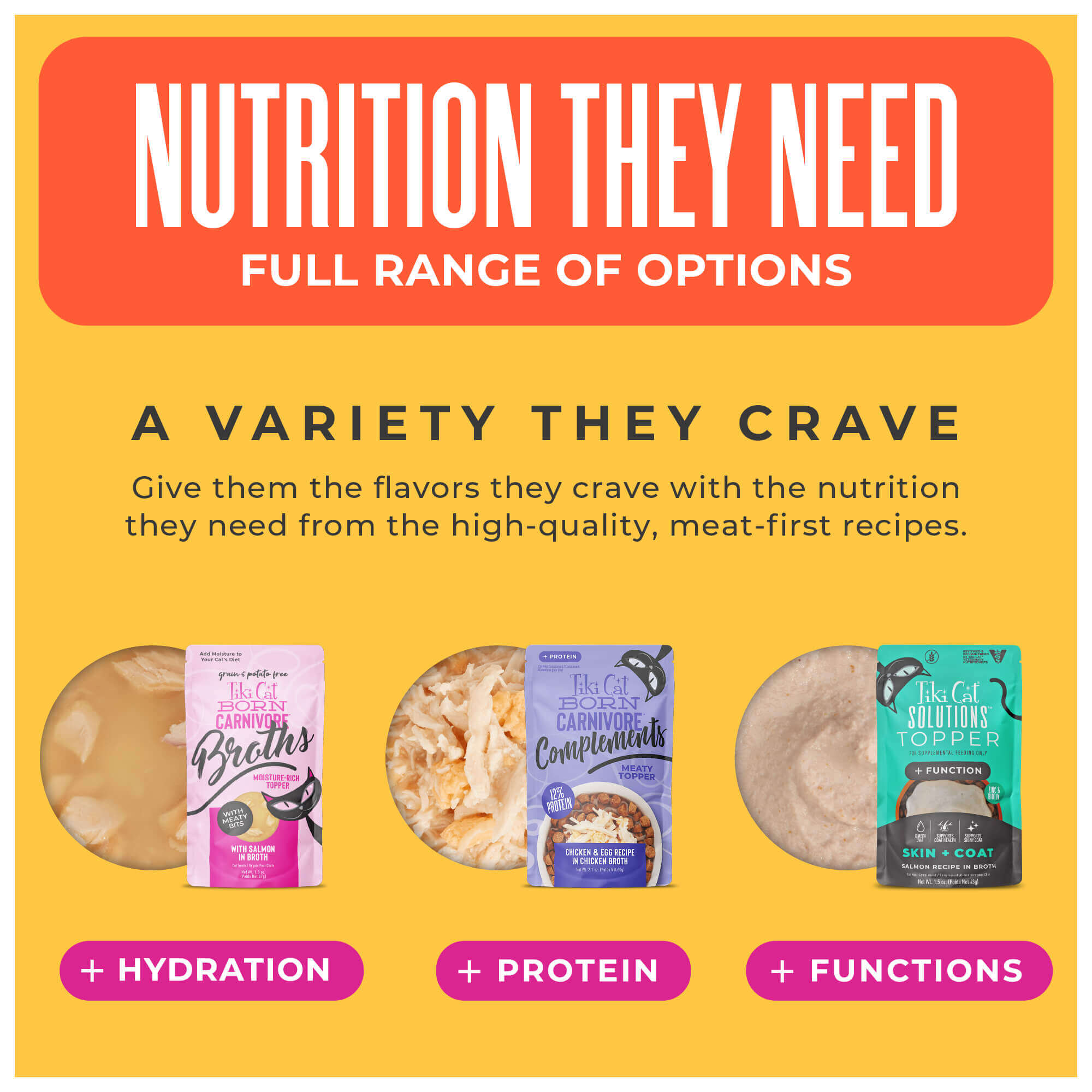 Indoor Health: Chicken & Turkey Meal Recipe - Image 11