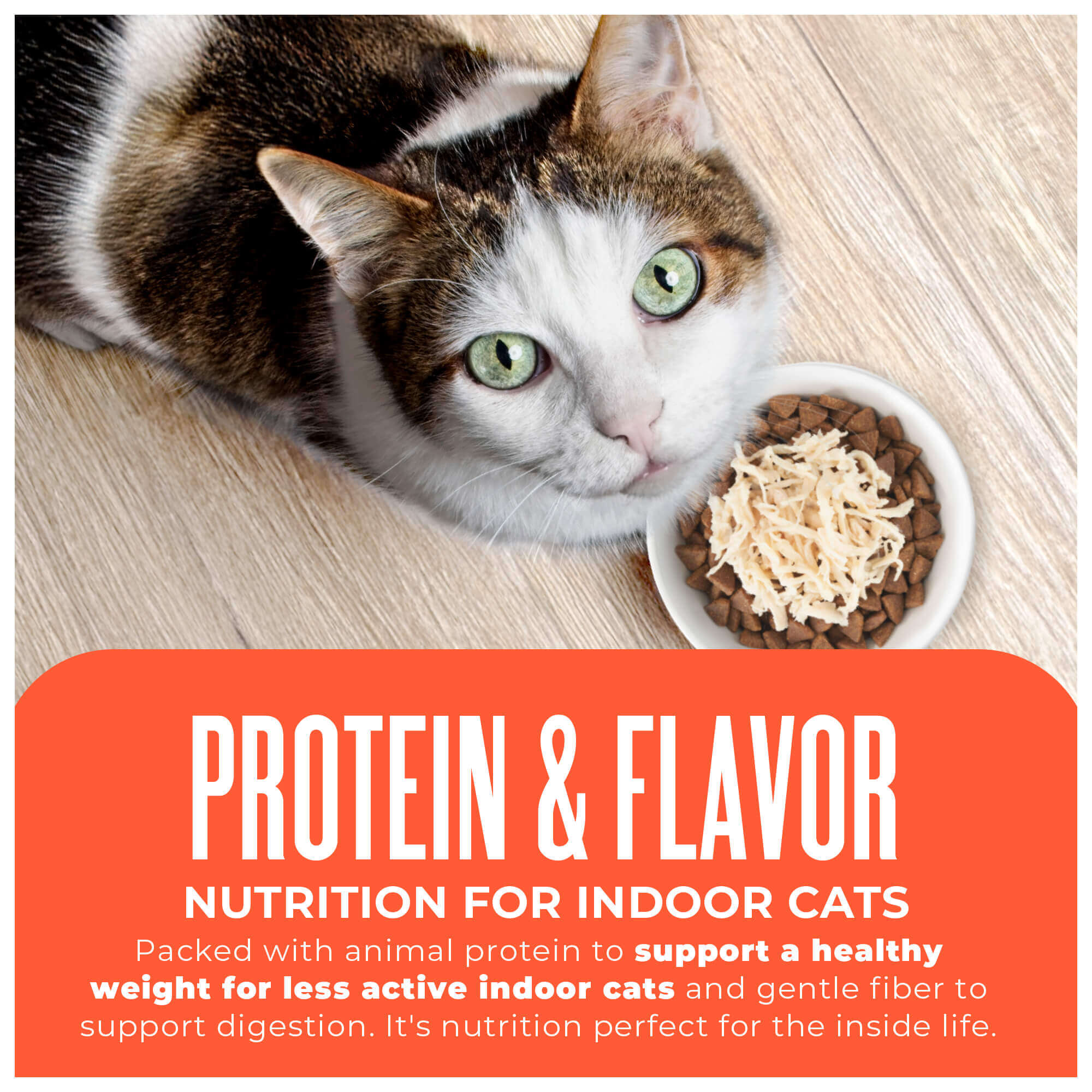 Indoor Health: Chicken & Turkey Meal Recipe - Image 12