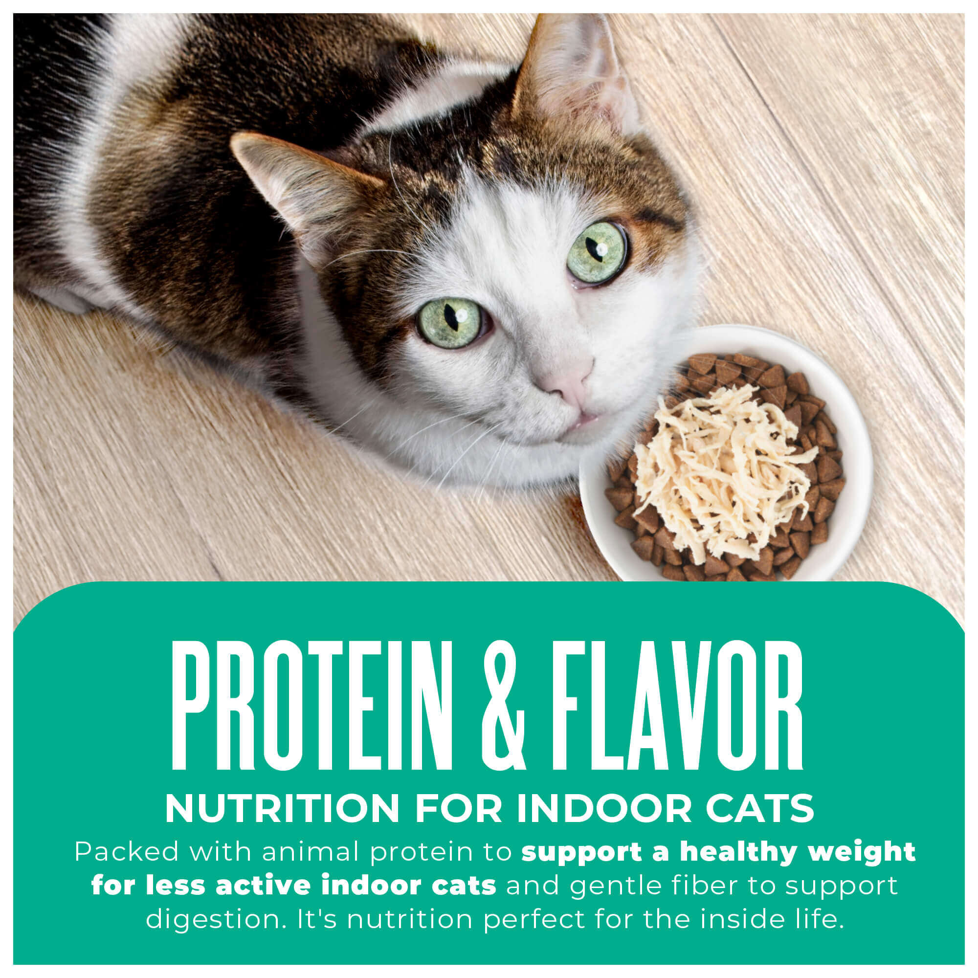 Indoor Health: Trout & Menhaden Fish Meal Recipe - Image 12