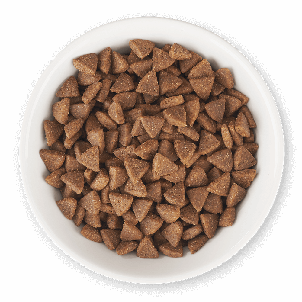Tiki Cat Dry Food Born Carnivore Essentials Tiki Pets