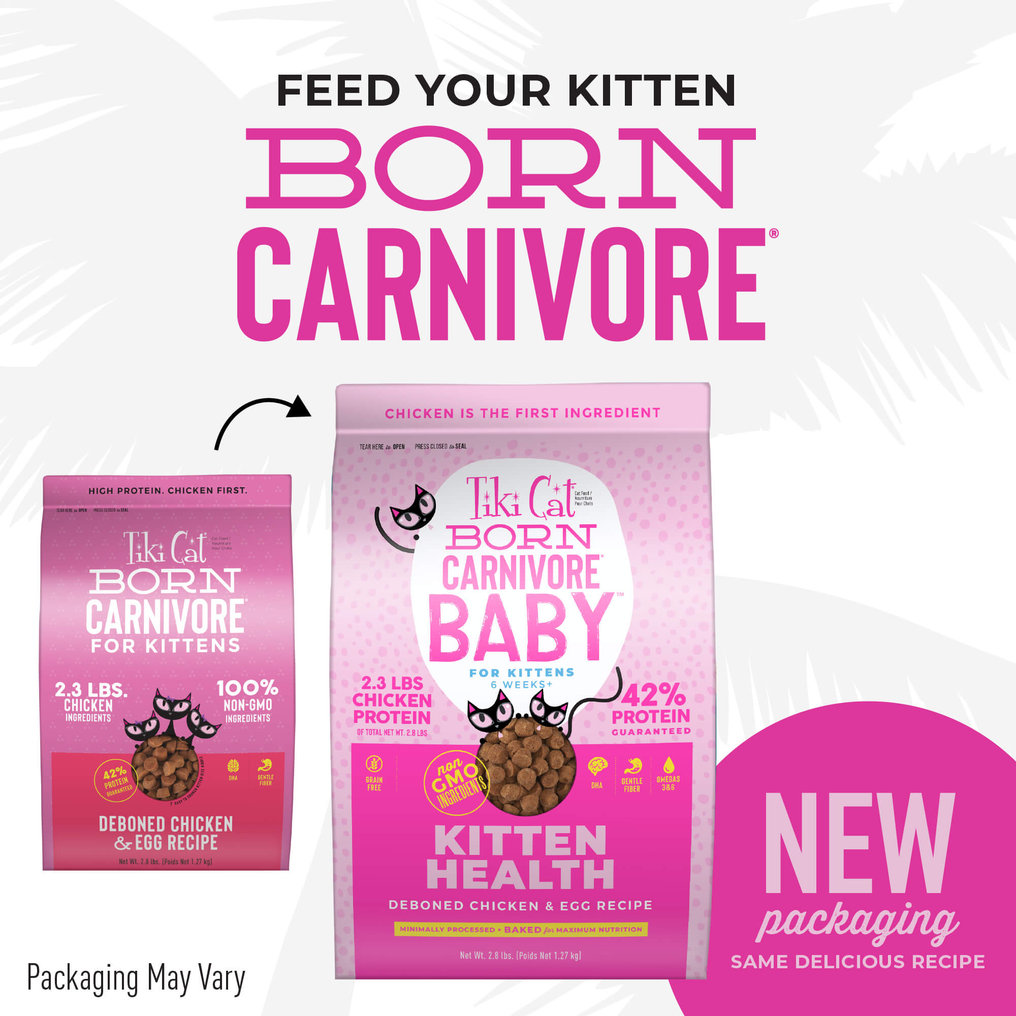 Tiki Cat Born Carnivore for Kittens Chicken Egg Luau