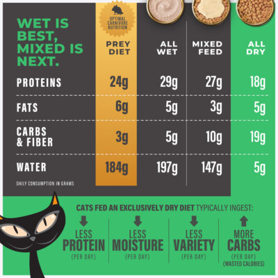 Baked Kibble: Chicken Recipe - Image 3