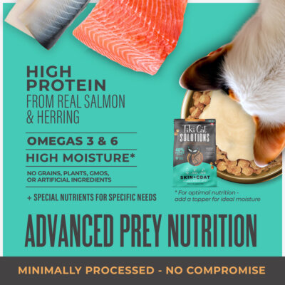 Baked Kibble: Salmon & Herring Recipe - Image 3