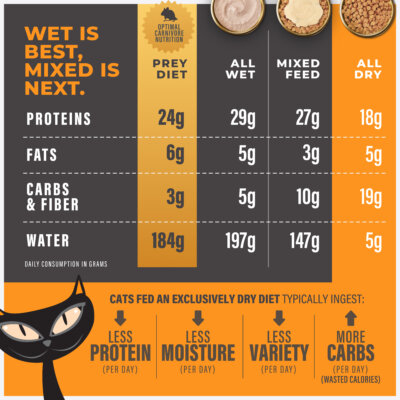 Baked Kibble: Lamb & Egg Recipe - Image 3