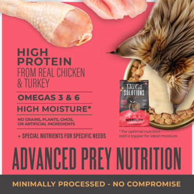 Baked Kibble: Chicken & Turkey Recipe - Image 3
