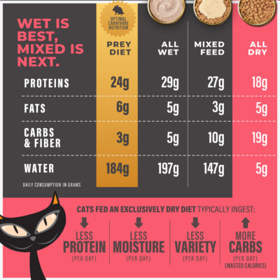 Baked Kibble: Chicken & Turkey Recipe - Image 3