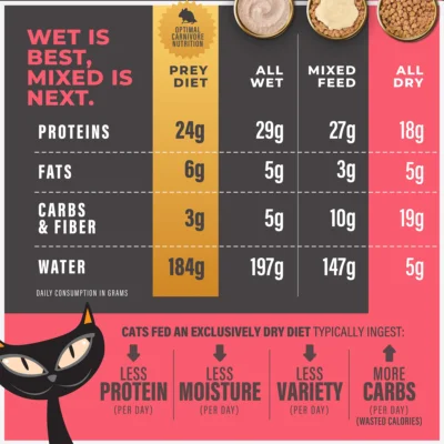 Baked Kibble: Chicken & Turkey Recipe - Image 6
