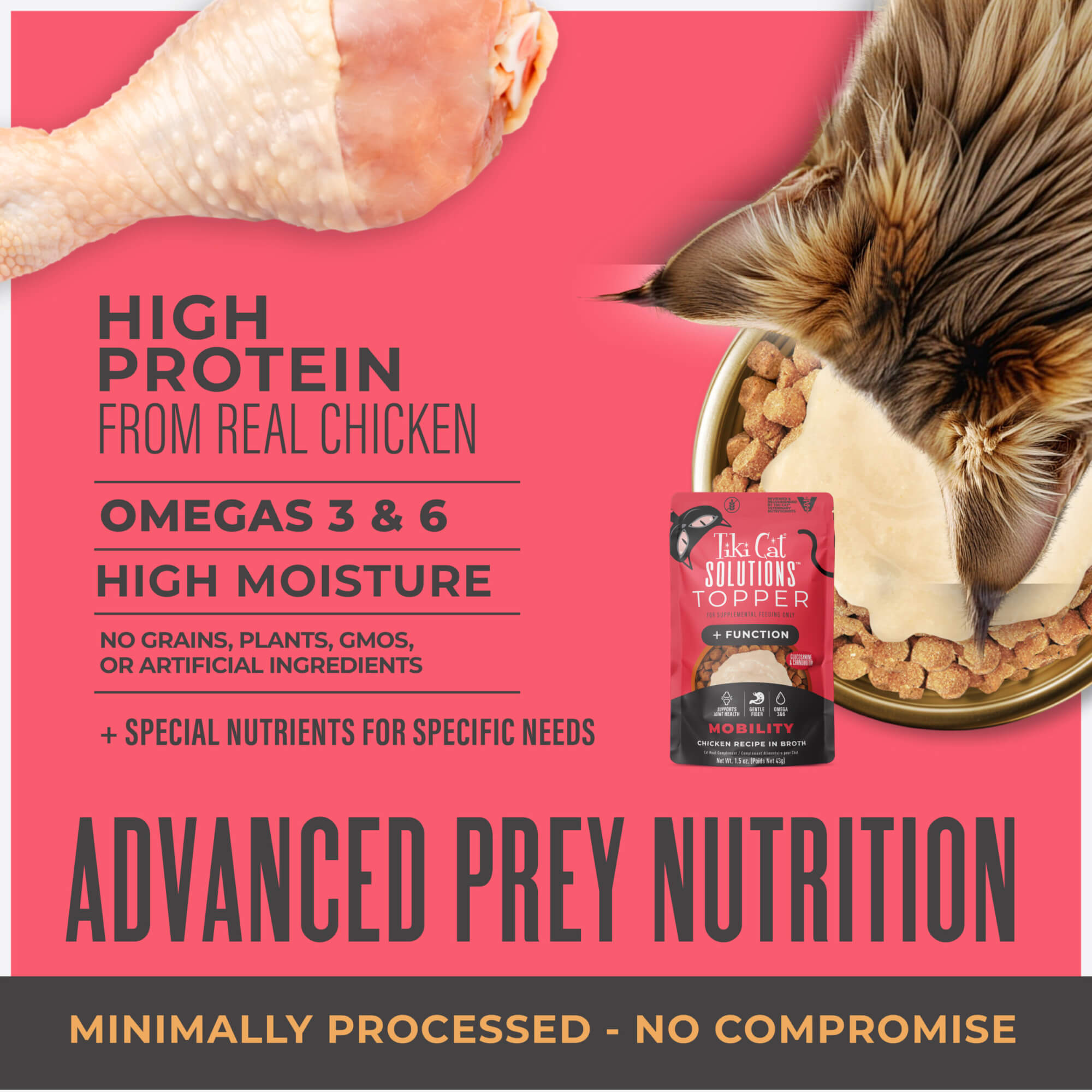 Topper: Chicken Recipe in Broth - Image 7