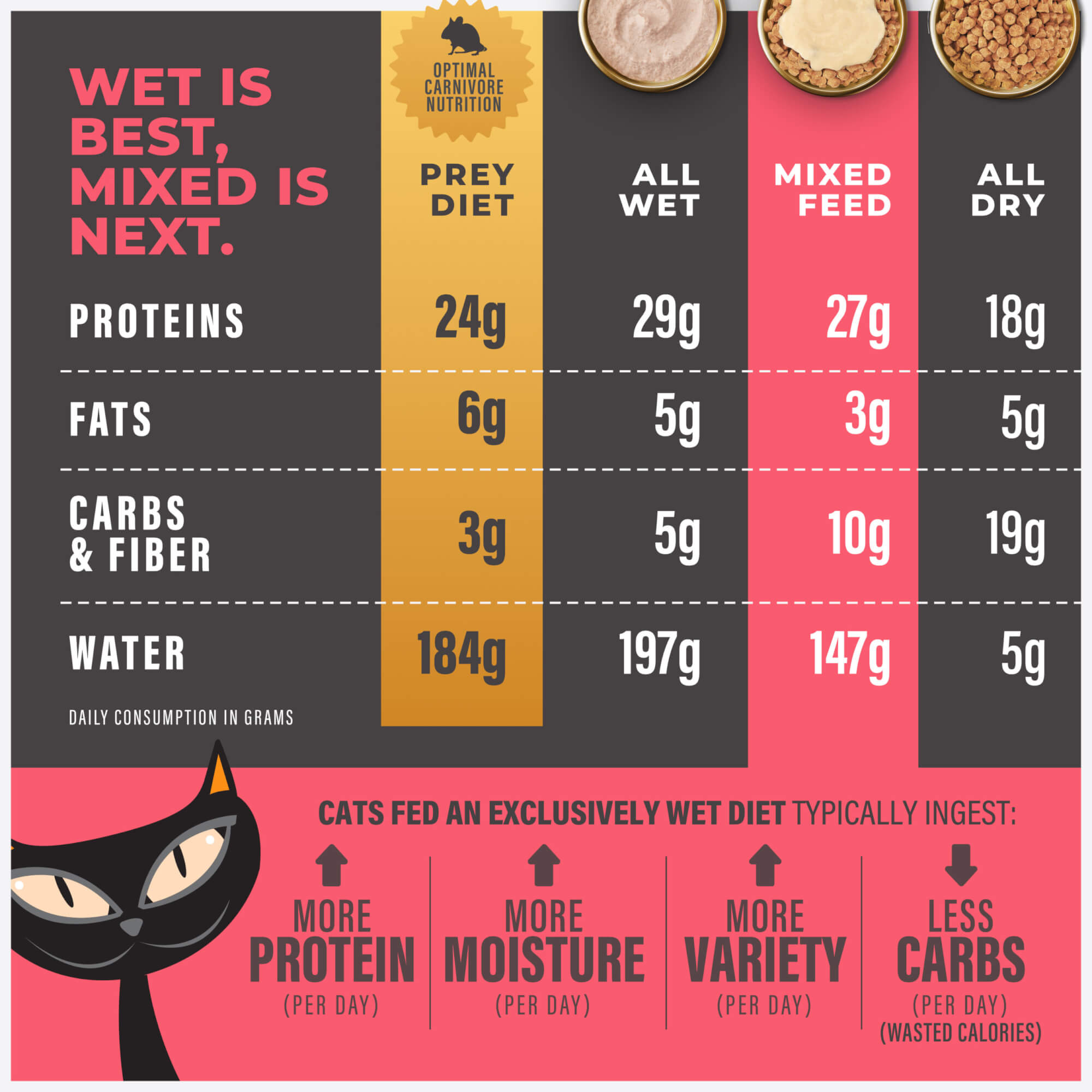 Topper: Chicken Recipe in Broth - Image 4