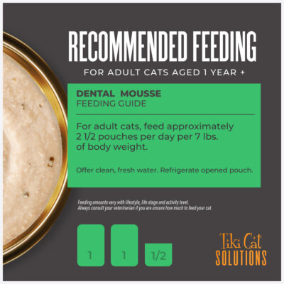 Mousse: Chicken Recipe in Broth - Image 4