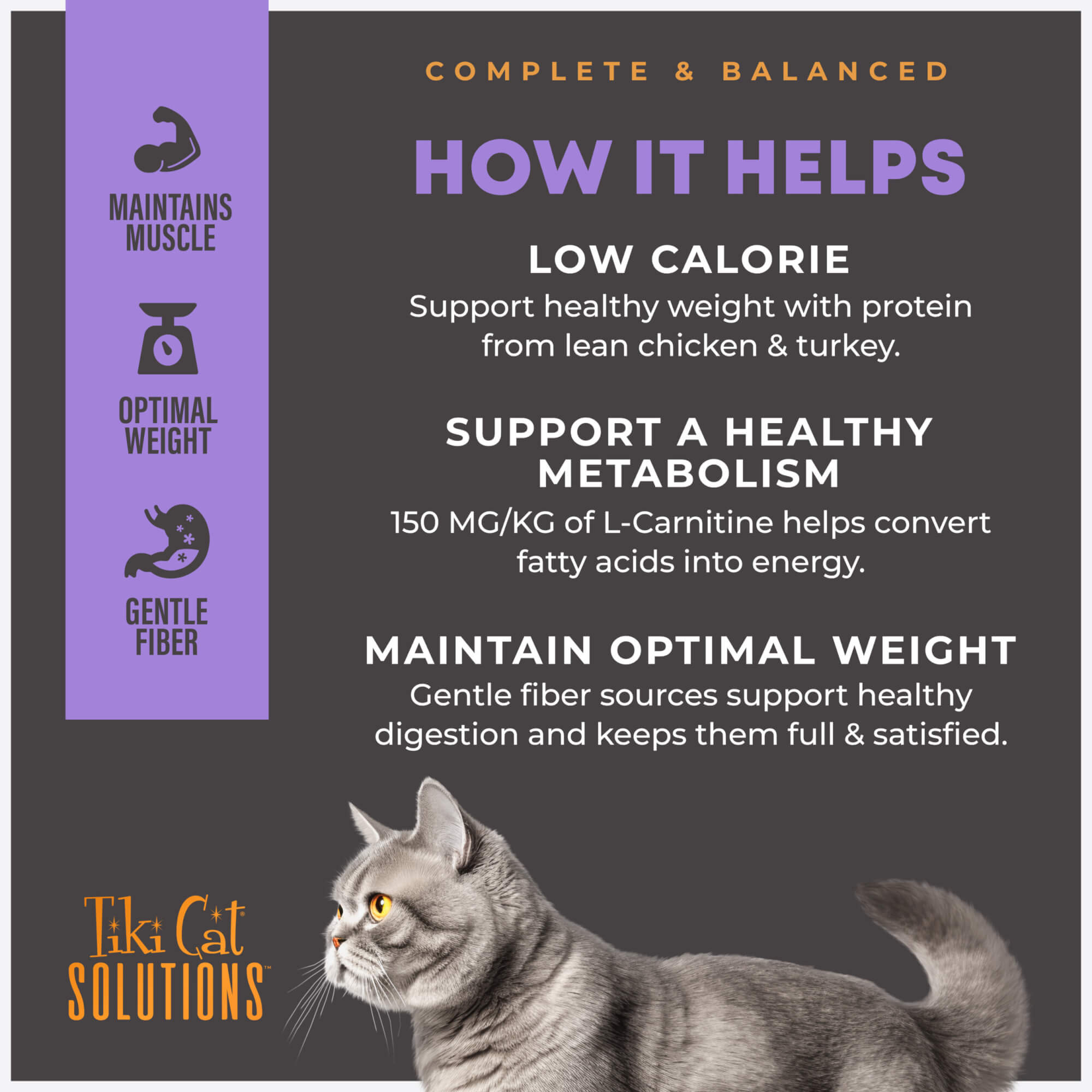 Baked Kibble: Turkey Recipe - Image 5