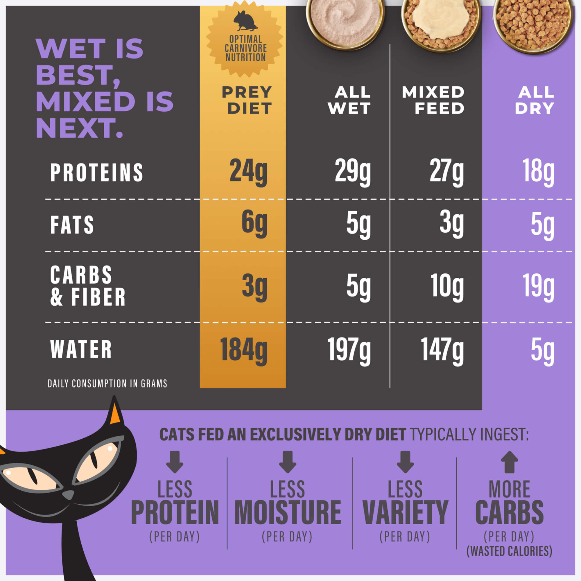 Baked Kibble: Turkey Recipe - Image 3