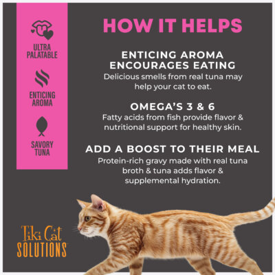 Topper: Tuna Recipe in Broth - Image 7
