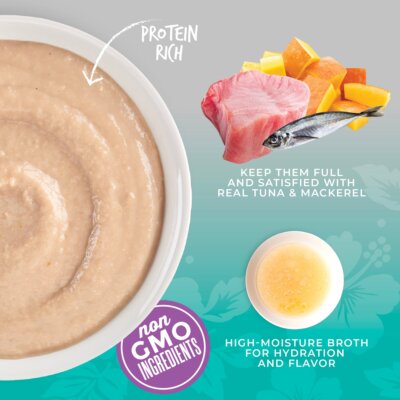 Mousse with Tuna, Mackerel & Pumpkin in Broth - Image 6