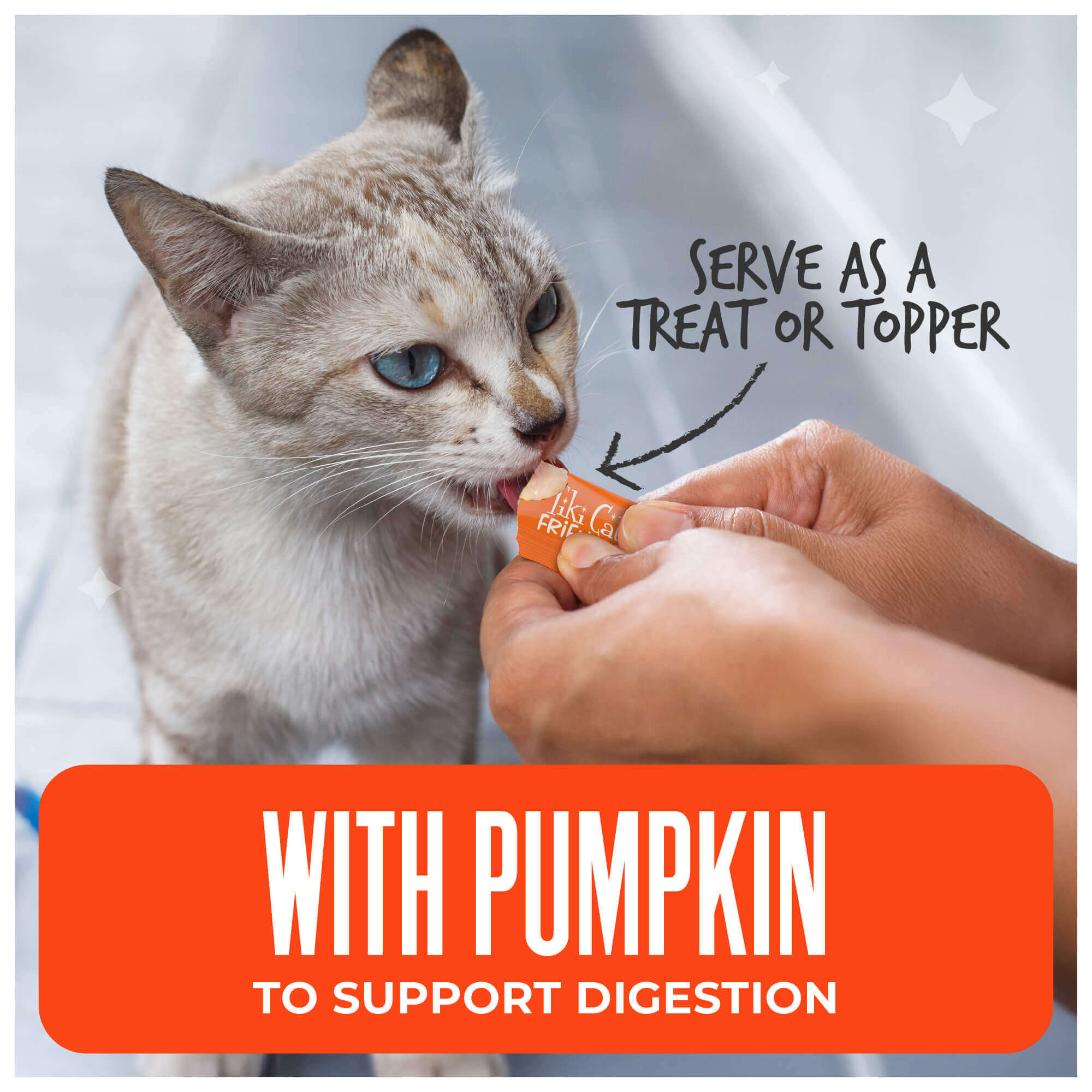 Chicken & Pumpkin Recipe in Creamy Gravy - Image 5