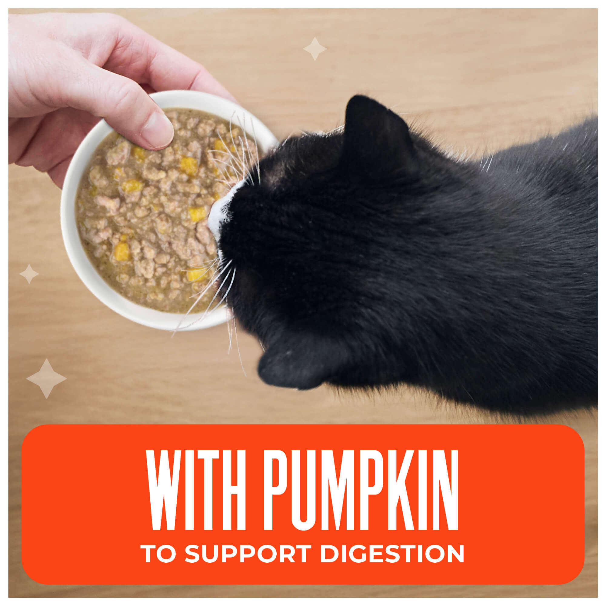 Chicken & Pumpkin Recipe in Broth - Image 6