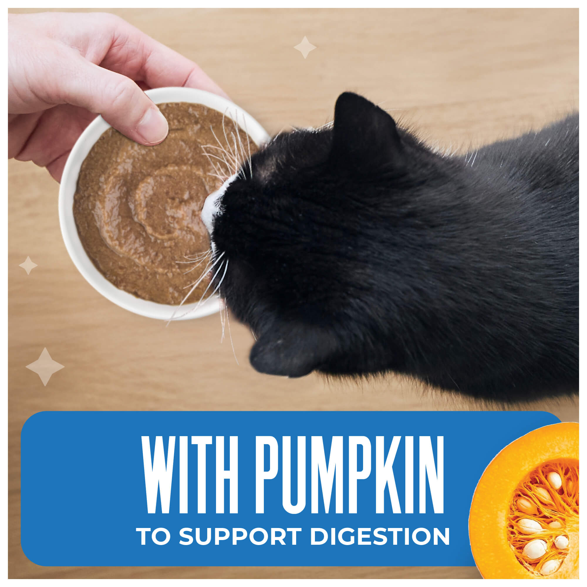 Tuna, Pumpkin & Tilapia Recipe in Broth - Image 4