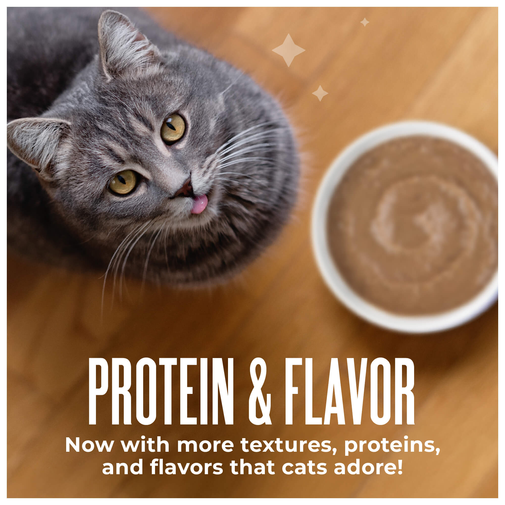 Tuna, Pumpkin & Tilapia Recipe in Broth - Image 6