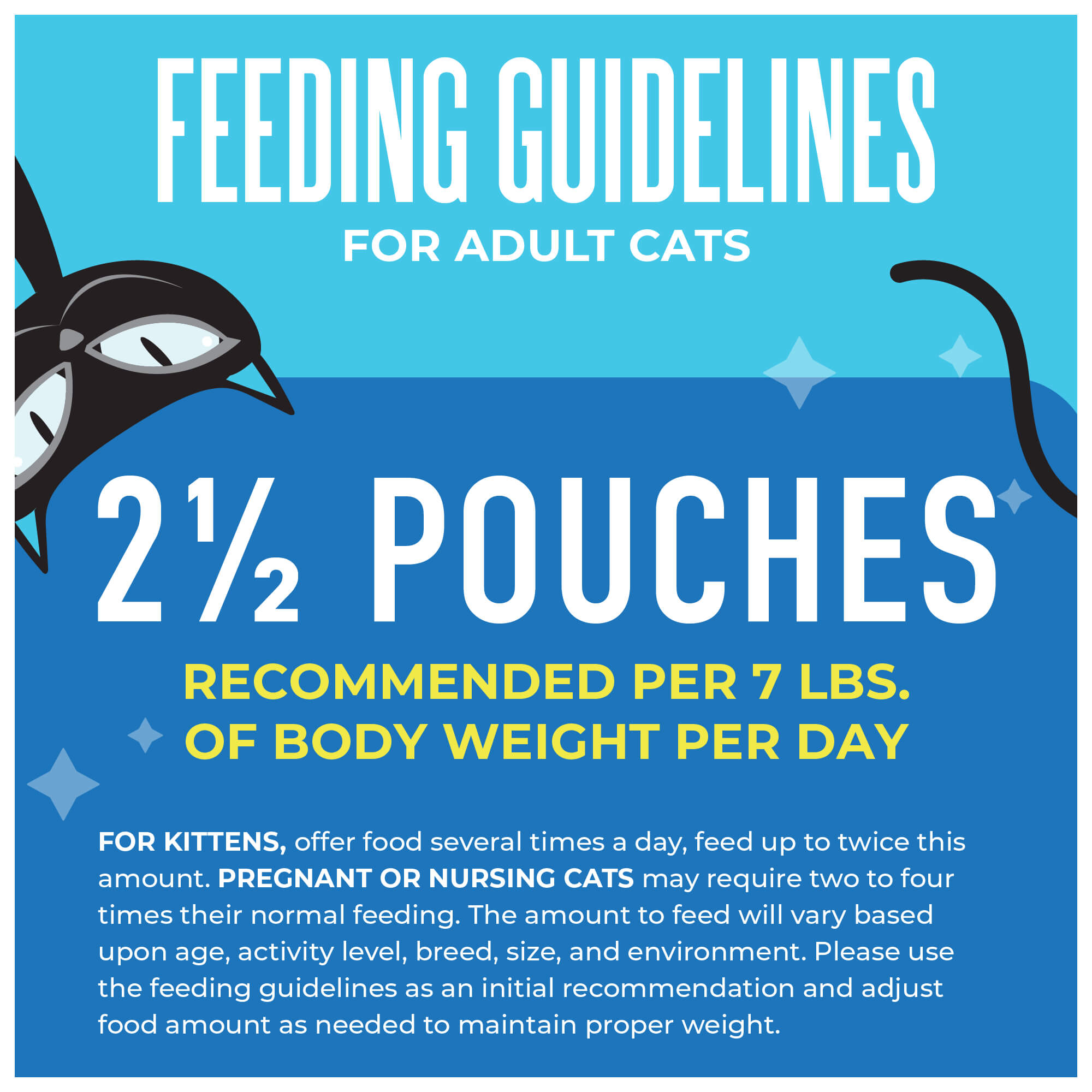 Tuna, Pumpkin & Tilapia Recipe in Broth - Image 8