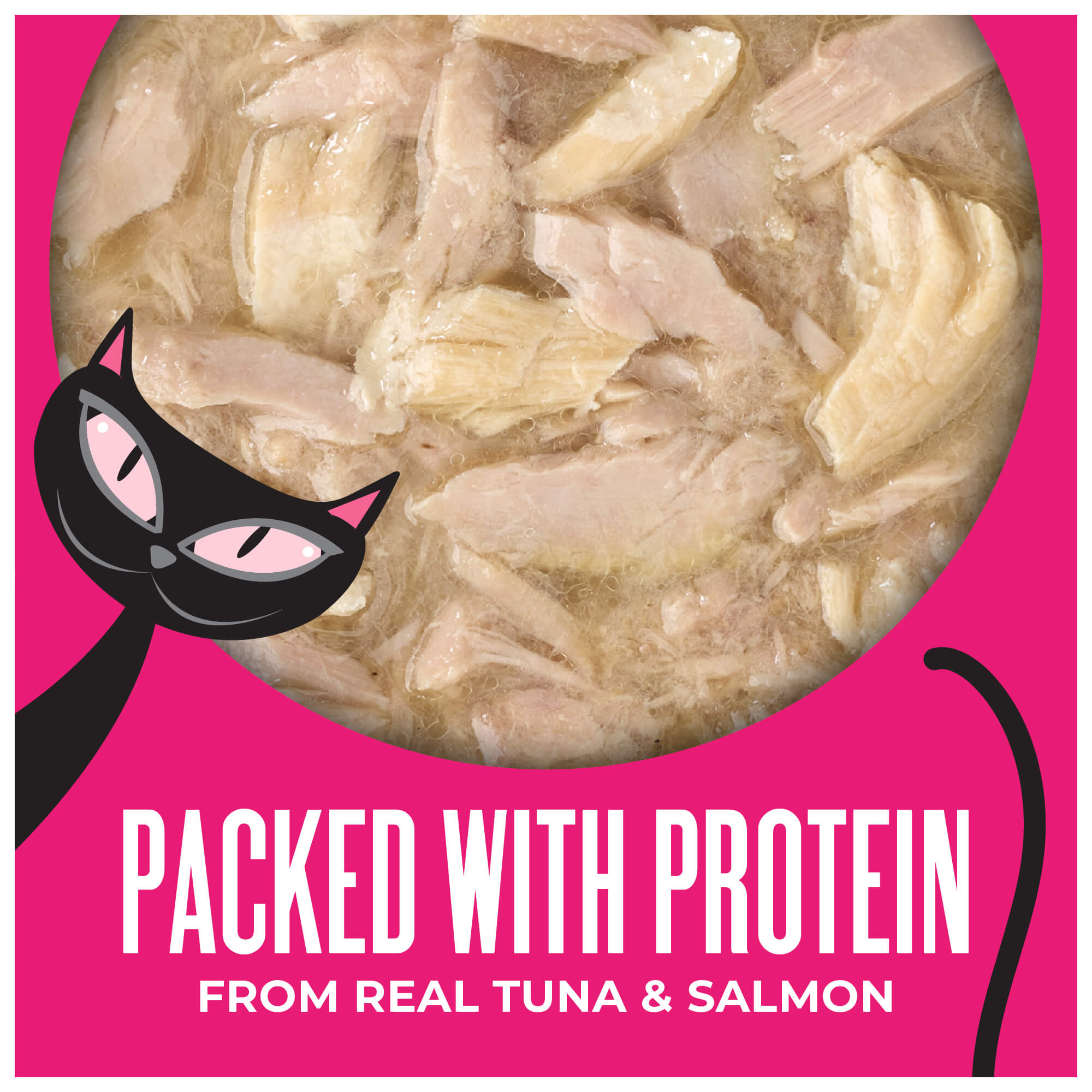 Tuna & Salmon Recipe in Tuna Broth - Image 3