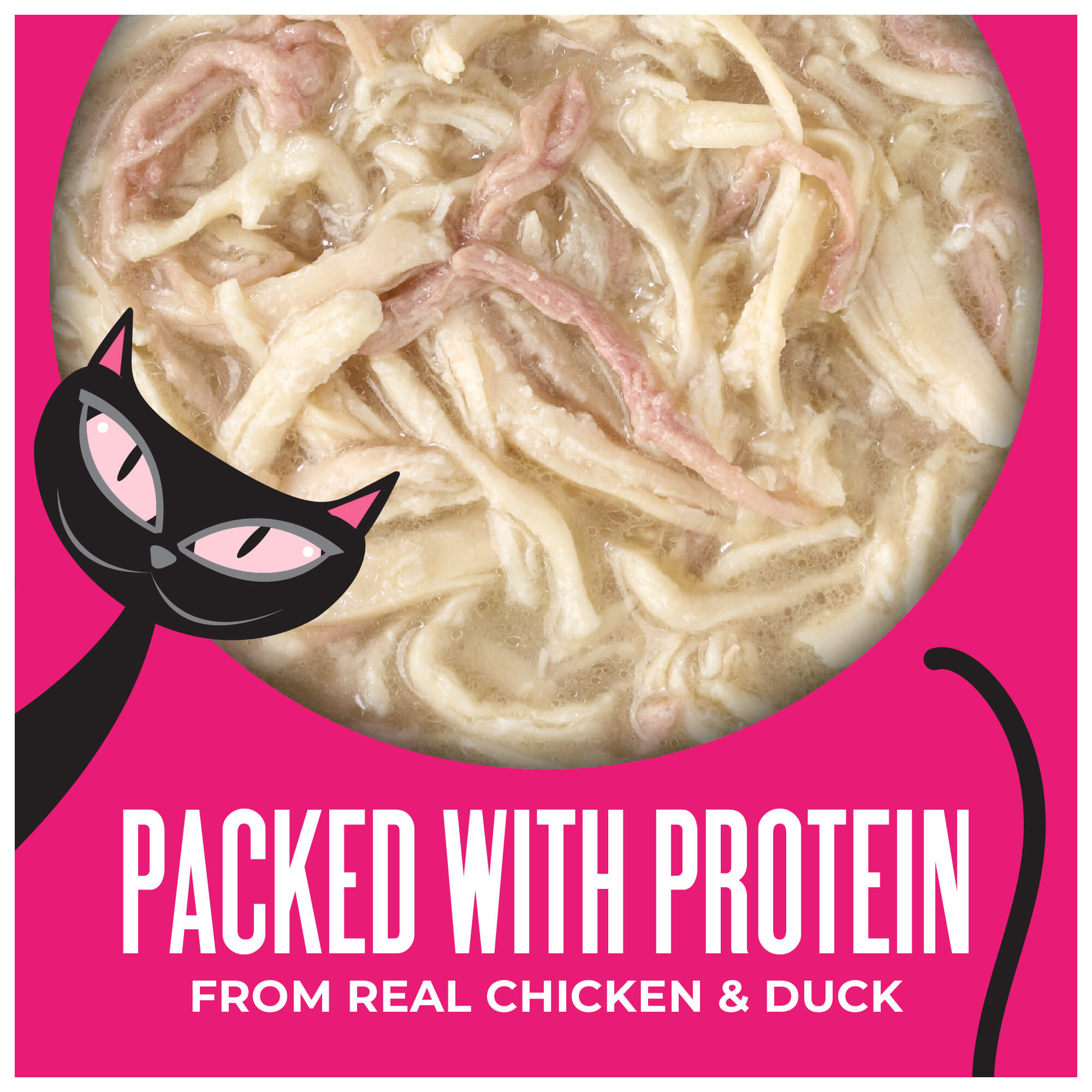 Chicken Breast & Duck Recipe in Chicken Broth - Image 3