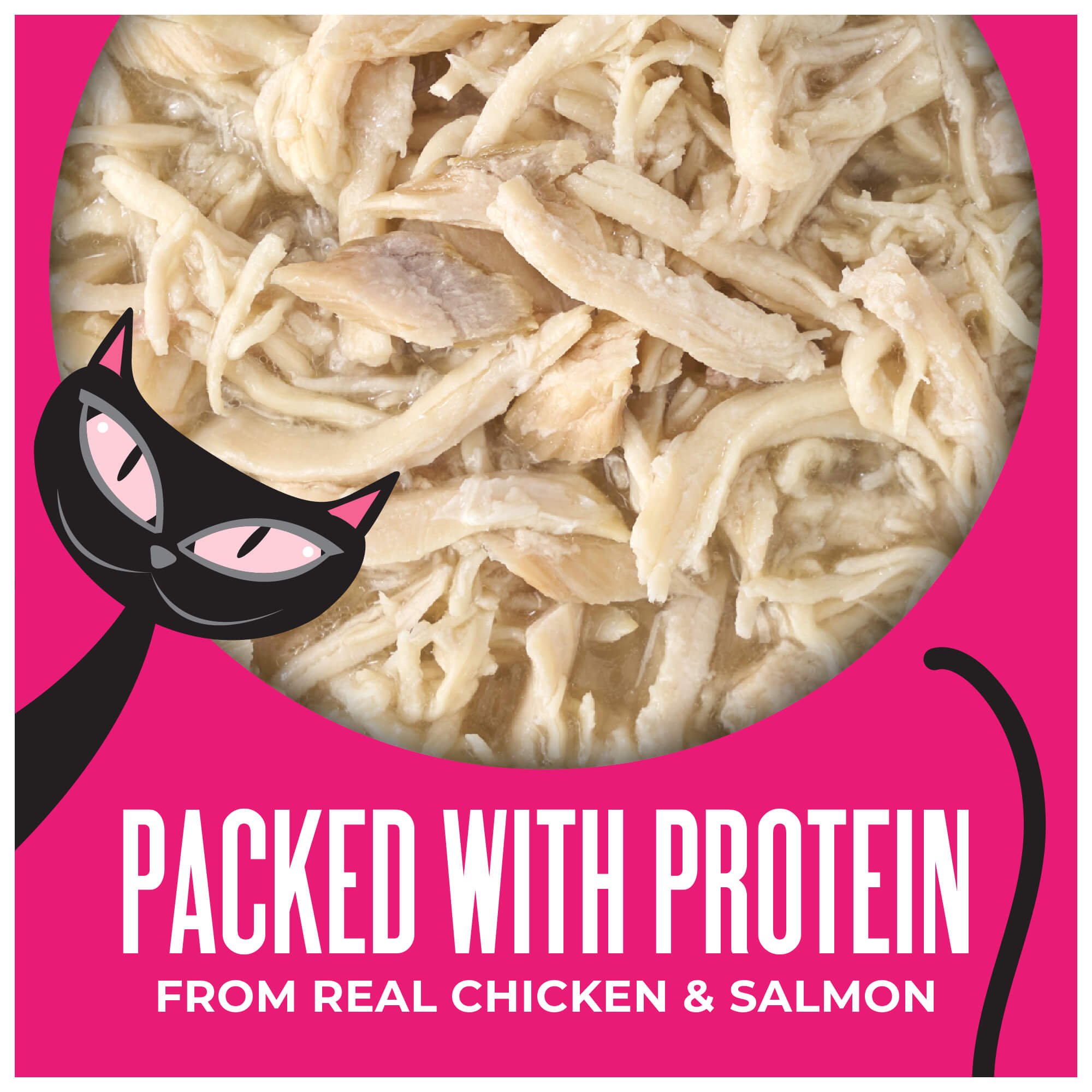 Chicken Breast & Salmon Recipe in Chicken Broth - Image 3